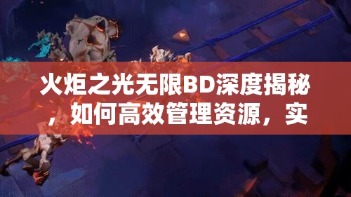 火炬之光无限BD深度揭秘，如何高效管理资源，实现价值最大化？