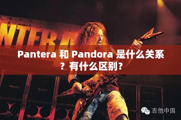 Pantera 和 Pandora 是什么关系？有什么区别？