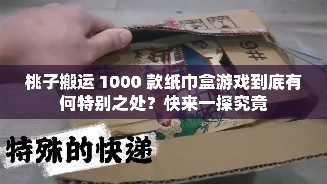 桃子搬运 1000 款纸巾盒游戏到底有何特别之处？快来一探究竟