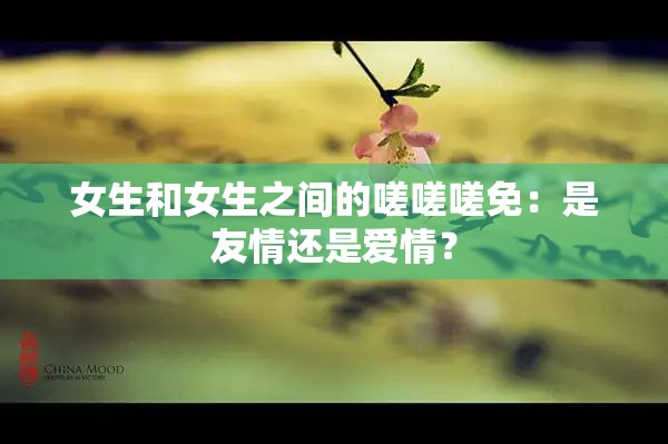 女生和女生之间的嗟嗟嗟免：是友情还是爱情？