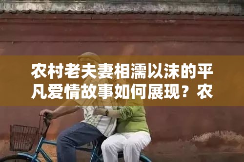 农村老夫妻相濡以沫的平凡爱情故事如何展现？农村老夫妻携手走过岁月的深情点滴如何探寻？农村老夫妻恩爱相伴背后有着怎样动人的情节？