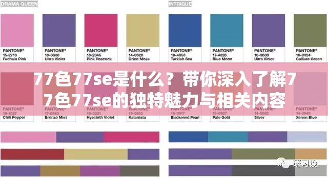 77色77se是什么？带你深入了解77色77se的独特魅力与相关内容