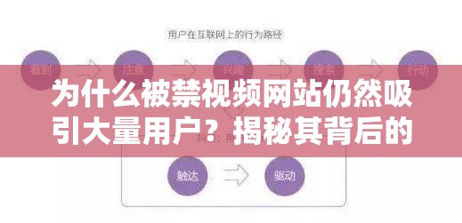 为什么被禁视频网站仍然吸引大量用户？揭秘其背后的内容与用户心理