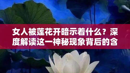 女人被莲花开暗示着什么？深度解读这一神秘现象背后的含义