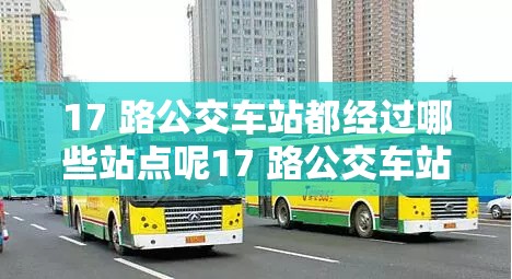 17 路公交车站都经过哪些站点呢17 路公交车站沿途站点大揭秘探寻 17 路公交车站具体经过哪些站点17 路公交车站都有哪些站点分布呢17 路公交车站所经站点全知晓17 路公交车站经过站点知多少17 路公交车站的站点情况究竟如何17 路公交车站各站点详细情况一览17 路公交车站都有哪些站点构成呢17 路公交车站站点分布情况大起底