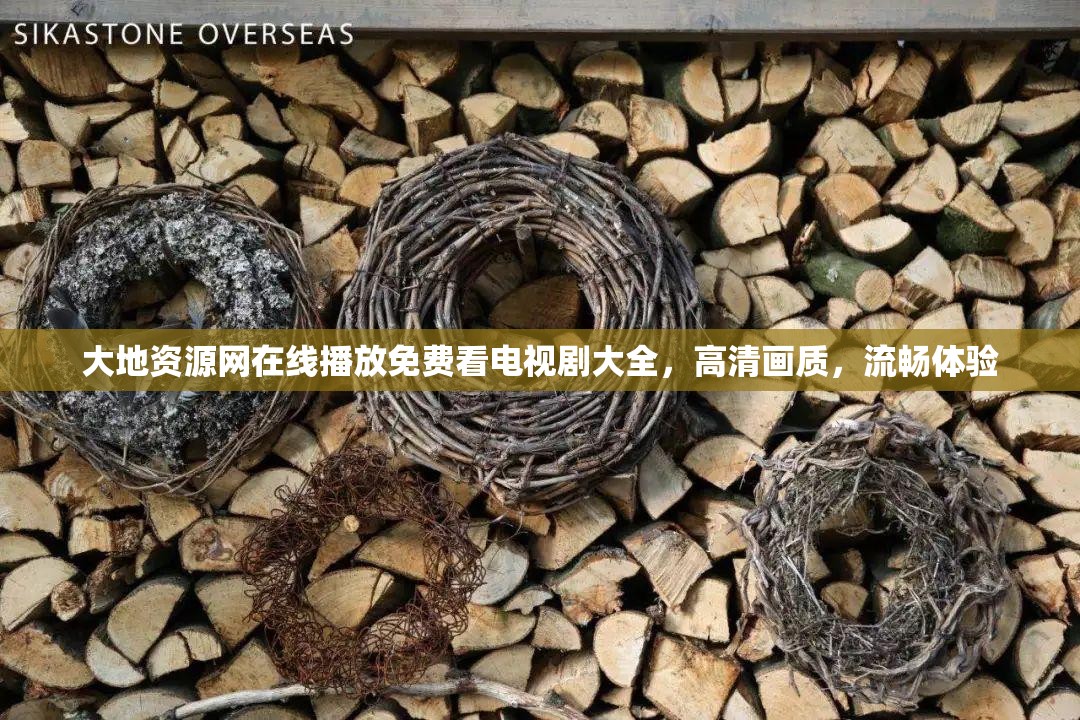 大地资源网在线播放免费看电视剧大全，高清画质，流畅体验