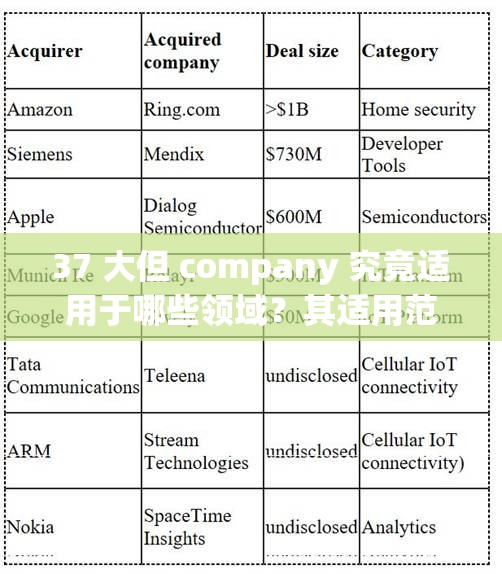 37 大但 company 究竟适用于哪些领域？其适用范围全面解析