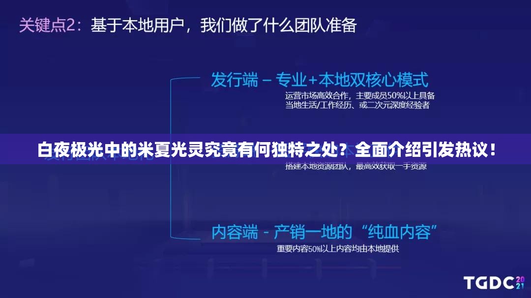 白夜极光中的米夏光灵究竟有何独特之处？全面介绍引发热议！