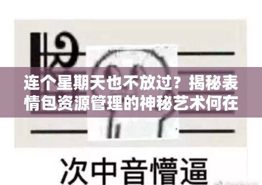 连个星期天也不放过？揭秘表情包资源管理的神秘艺术何在？