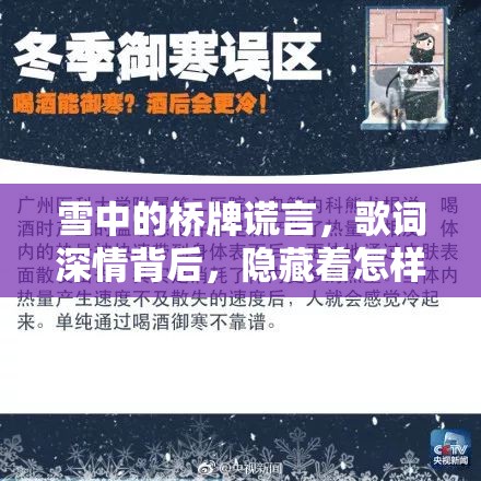 雪中的桥牌谎言，歌词深情背后，隐藏着怎样迷离的真相？