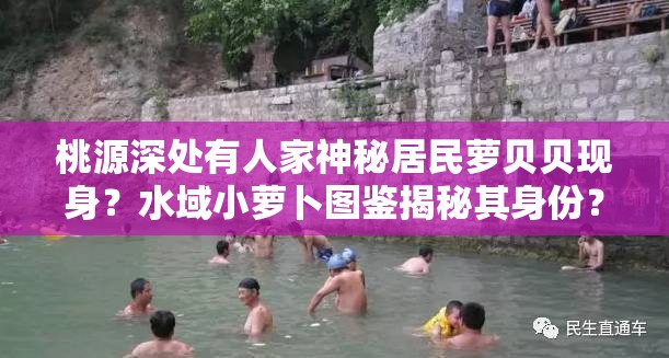 桃源深处有人家神秘居民萝贝贝现身？水域小萝卜图鉴揭秘其身份？