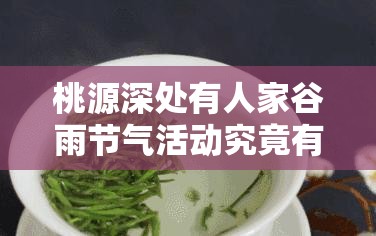 桃源深处有人家谷雨节气活动究竟有何惊喜？探索其活动预告的演变历程