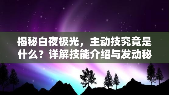 揭秘白夜极光，主动技究竟是什么？详解技能介绍与发动秘诀