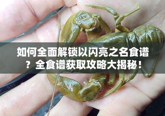 如何全面解锁以闪亮之名食谱？全食谱获取攻略大揭秘！