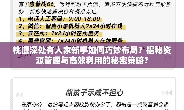 桃源深处有人家新手如何巧妙布局？揭秘资源管理与高效利用的秘密策略？