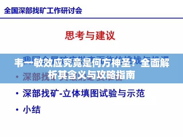 韦一敏效应究竟是何方神圣？全面解析其含义与攻略指南